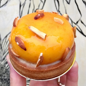apricot-tart