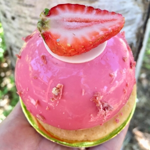 strawberry and rhubarb petit image